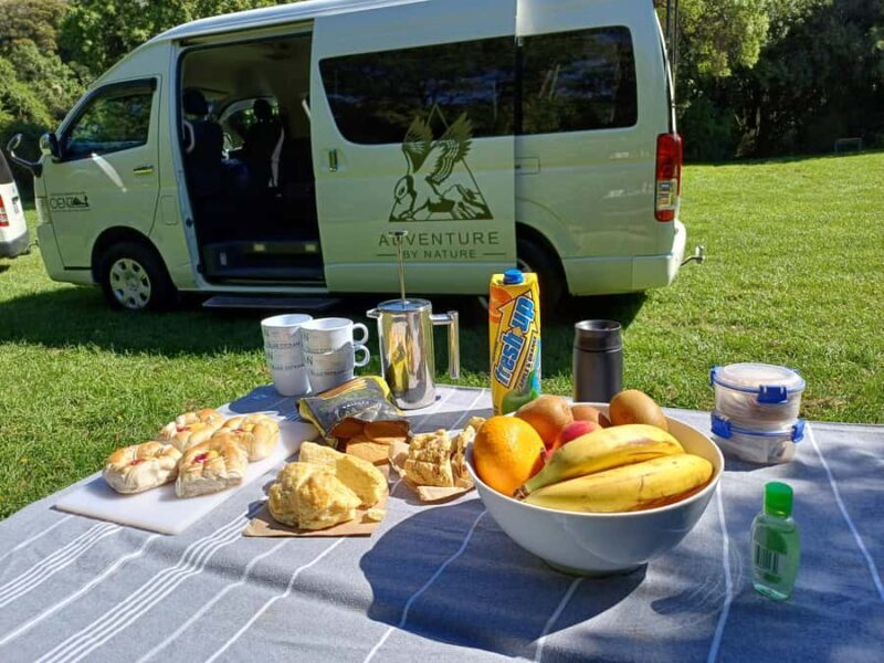 Lyttelton: Shore Excursion, Castle Hill & Inland Canterbury - Key Points