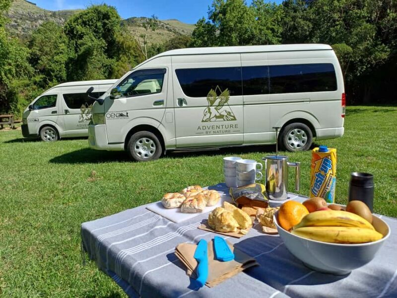 Lyttelton: Shore Excursion, Caving & Castle Hill Rocks - Key Points