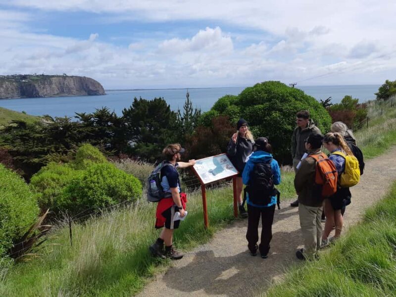 Lyttelton: Shore Excursion, Godley Head, Guided Walk - Authenticity and Value