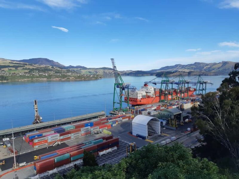 Lyttelton: Shore Excursion, Godley Head, Guided Walk - Who Will Love This Tour?