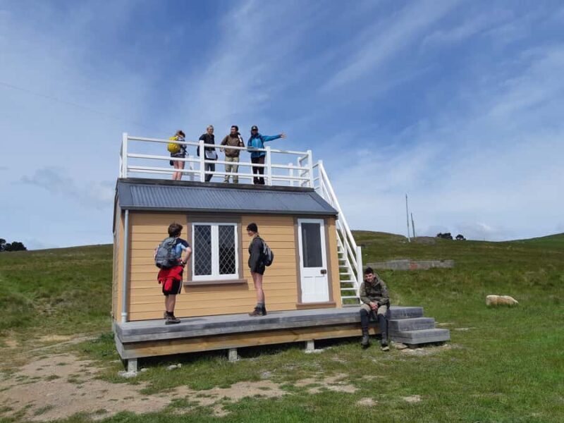 Lyttelton: Shore Excursion, Godley Head, Guided Walk - FAQ