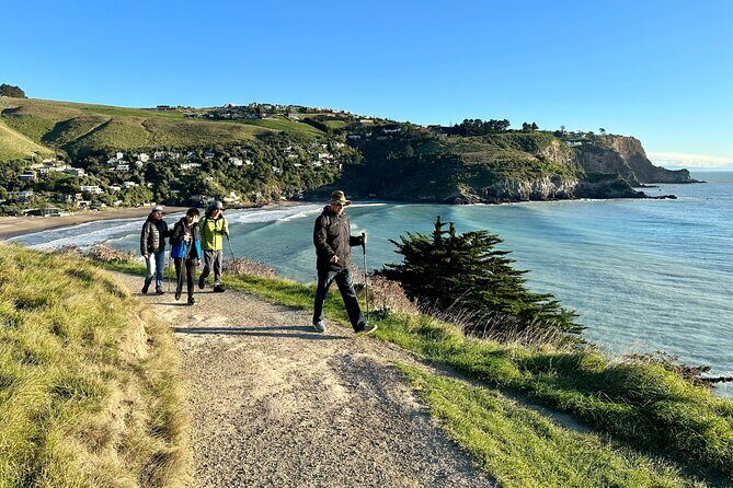 Lyttelton Shore Excursion - Guided Walking Tour and Picnic - What’s Included and Why It Matters