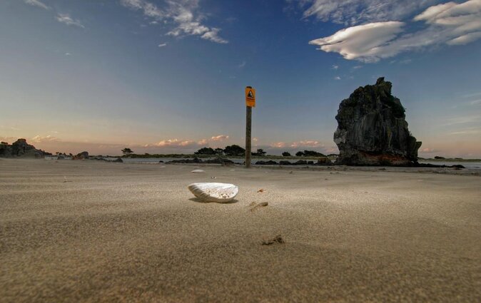 Lyttelton Shore Excursion - Guided Walking Tour and Picnic - Pickup and Meeting Details