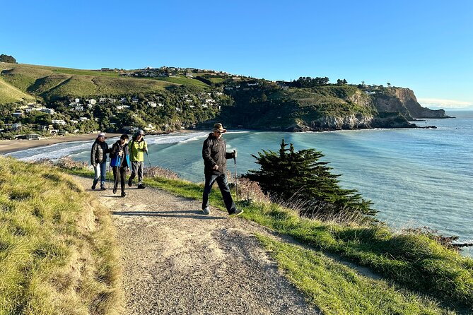 Lyttelton Shore Excursion - Guided Walking Tour and Picnic - Customer Reviews