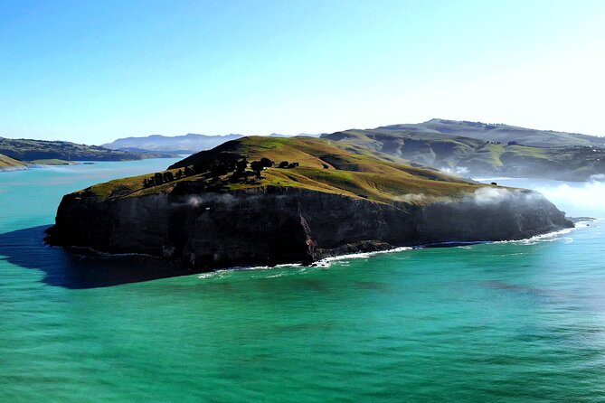 Lyttelton Shore Excursion - Guided Walking Tour and Picnic - Pricing and Booking Information