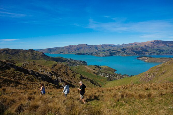 Lyttelton Shore Excursion - Guided Walking Tour and Picnic - Cancellation Policy