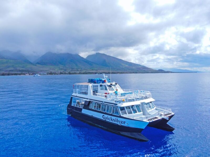 Ma'alaea Harbor: Whale Watching Tour Aboard Power Catamaran - An In-Depth Look at the Maalaea Whale Watching Experience