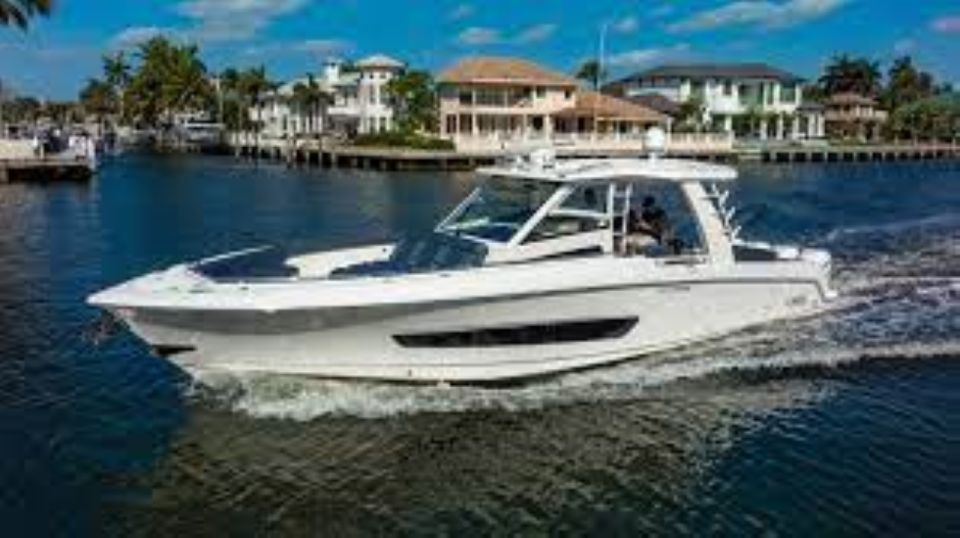 Maalaea: Small Group 2-Hour Whale Watch Experience - Excluded Services