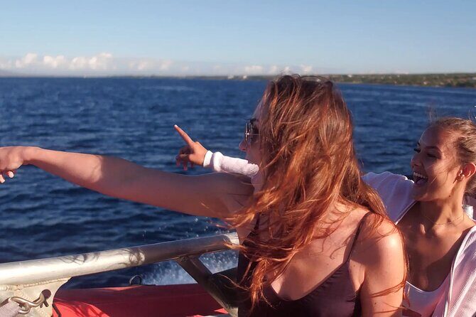 Maalaea Whale Watching Activity Visit - Setting the Scene: What to Expect on Your Maui Whale Watching Cruise