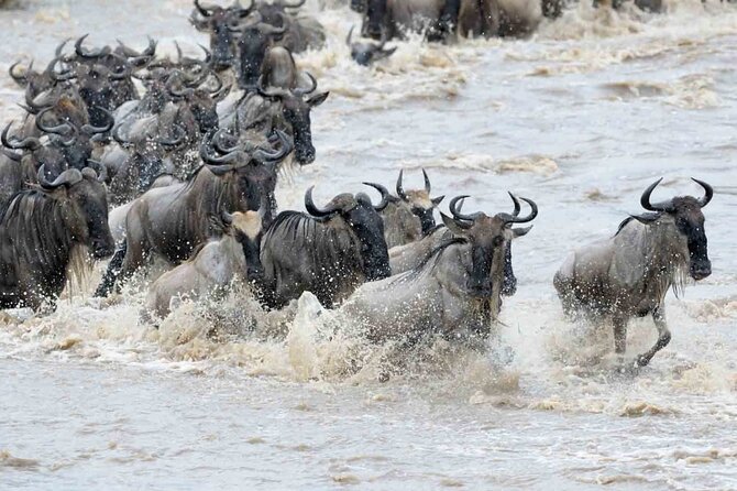 Maasai Mara 3 Day Guided Tour - Pickup and Transportation