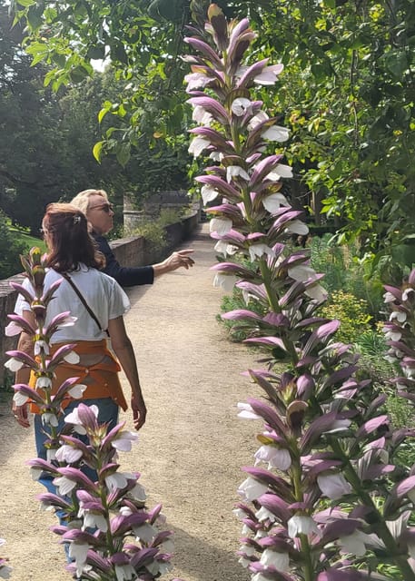 Maastricht Hidden Gems Tour Uncover the Unexpected - Unique Cultural Experiences