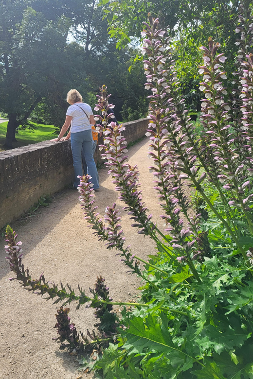 Maastricht Hidden Gems Tour Uncover the Unexpected - Customer Feedback and Ratings