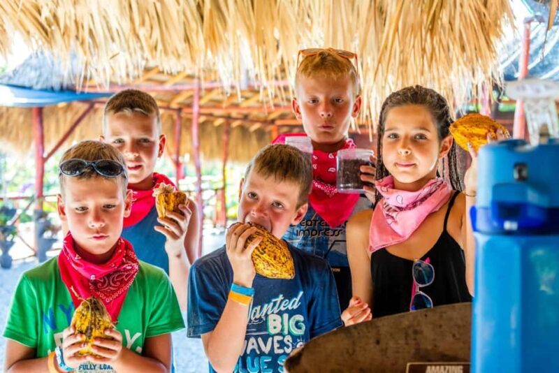 Macao Beach: Buggy Safari and Cenote Swimming with Pickup - Final Thoughts: Who Should Consider This Adventure?