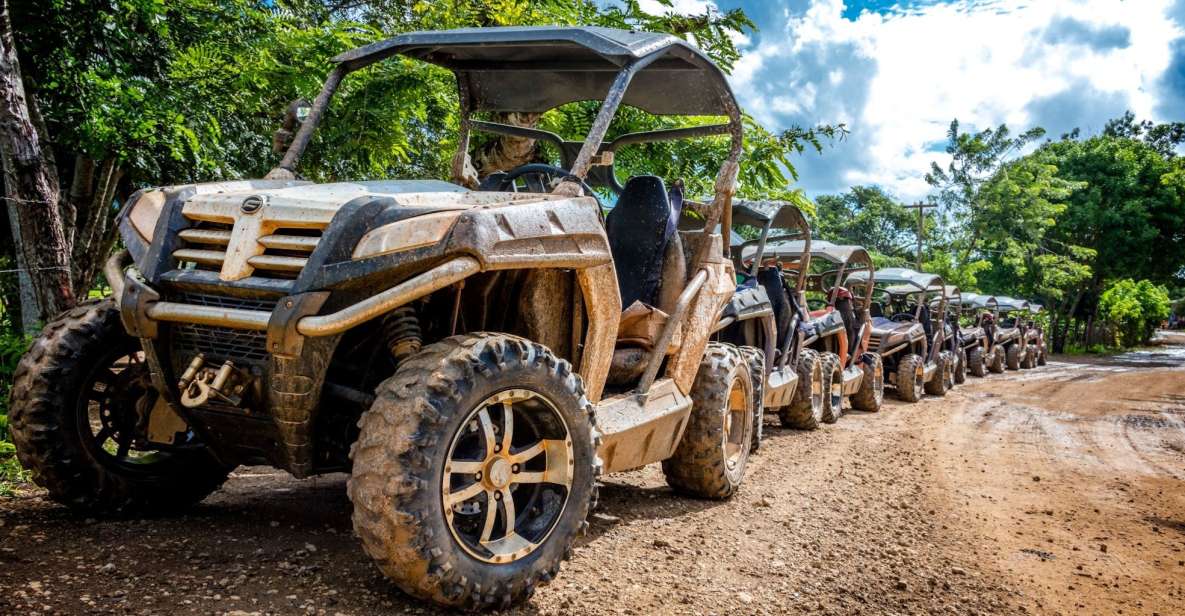 Macao Beach: Buggy Safari and Cenote Swimming With Pickup - Highlights