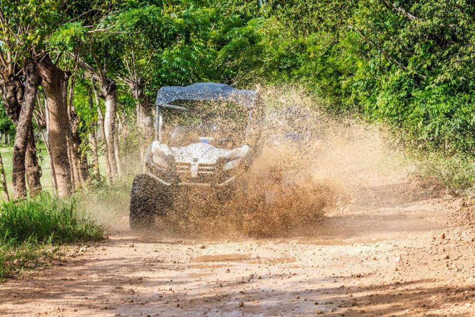 Macao Beach: Buggy Safari and Cenote Swimming With Pickup - Inclusions
