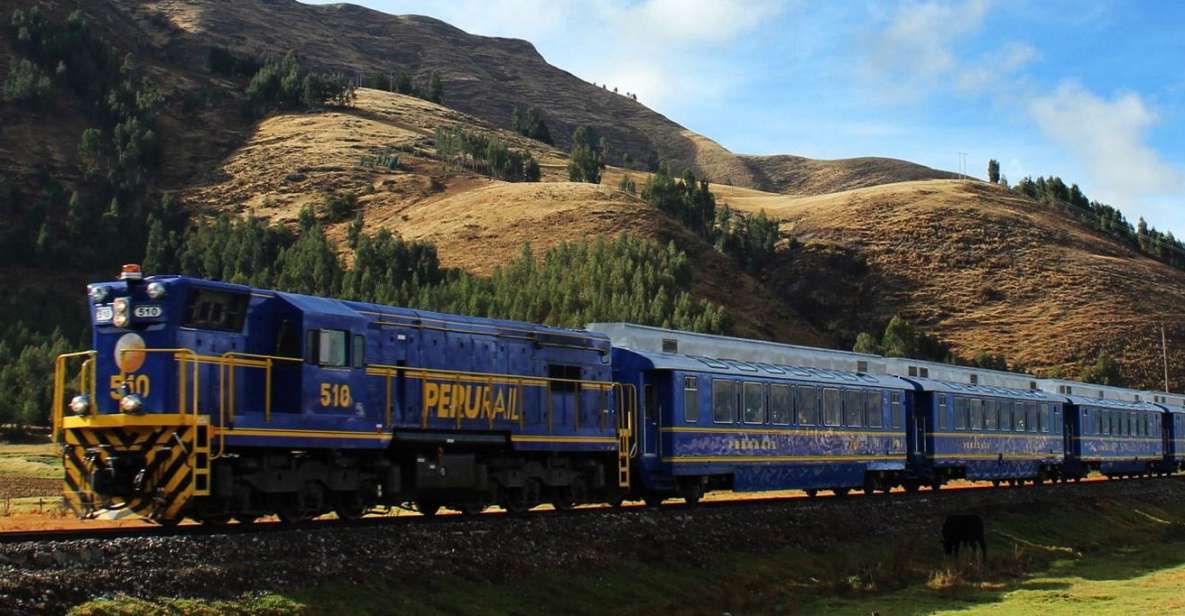 Machu Picchu: 1-Day Tour by Expedition or Voyager Train - Guided Tour Experience