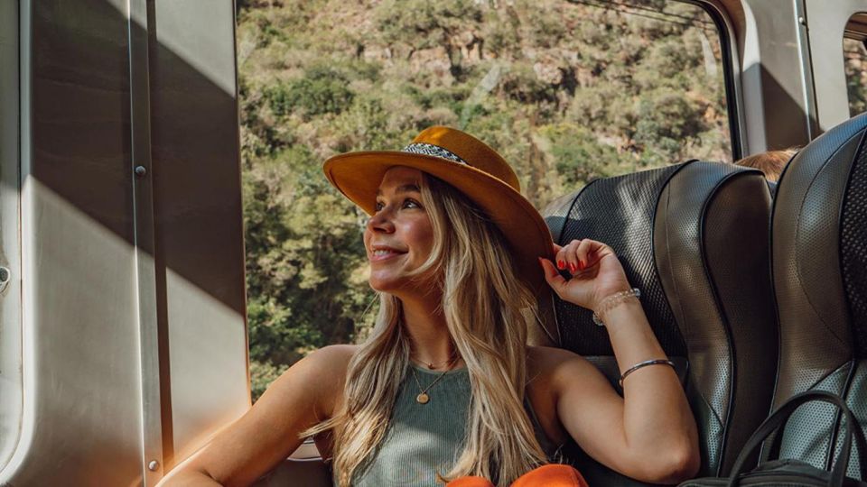 Machu Picchu: 1-Day Tour by Vistadome Observatory Train - Train Journey