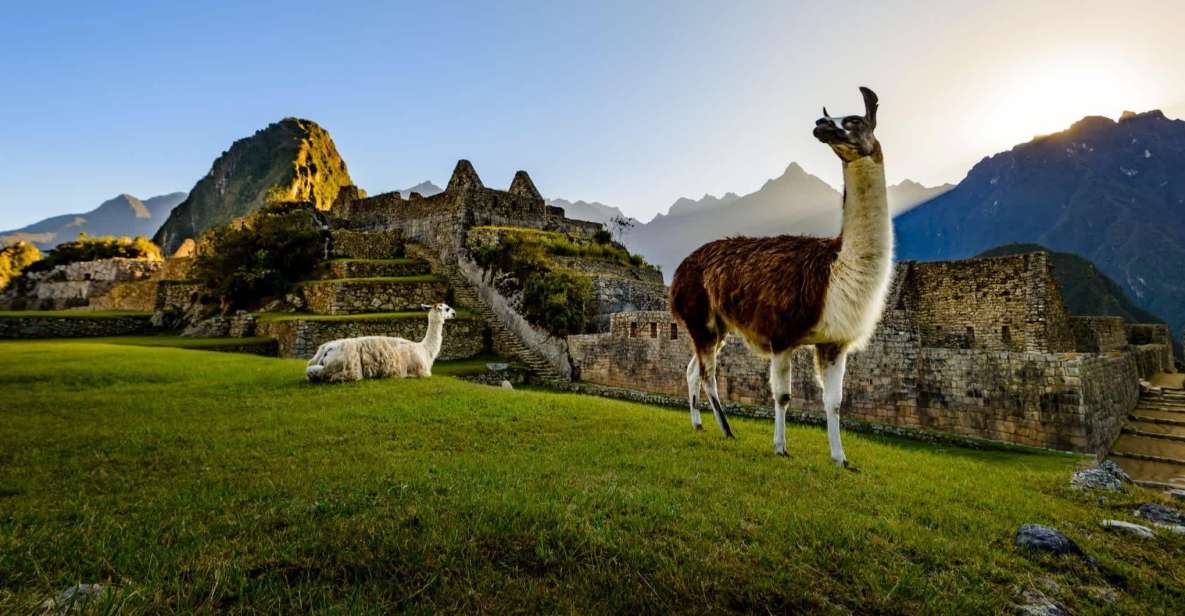 Machu Picchu Adventure and Rainbow Mountain | 2 Days | - Transportation and Logistics