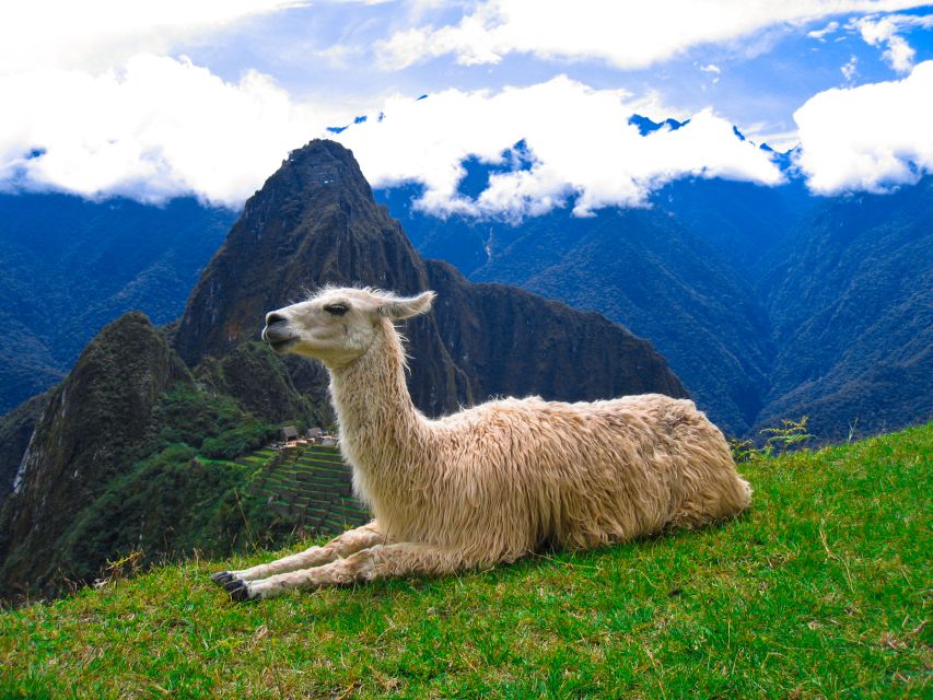 Machu Picchu and Machu Picchu Mountain 1-day | Private Tour| - Frequently Asked Questions