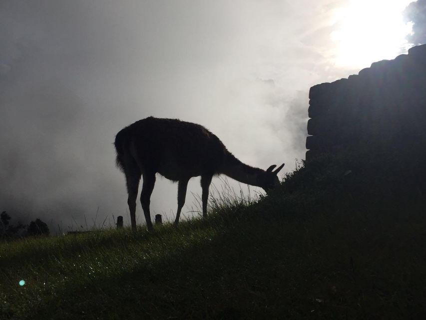 Machu Picchu By Train (2 Days) - Key Points