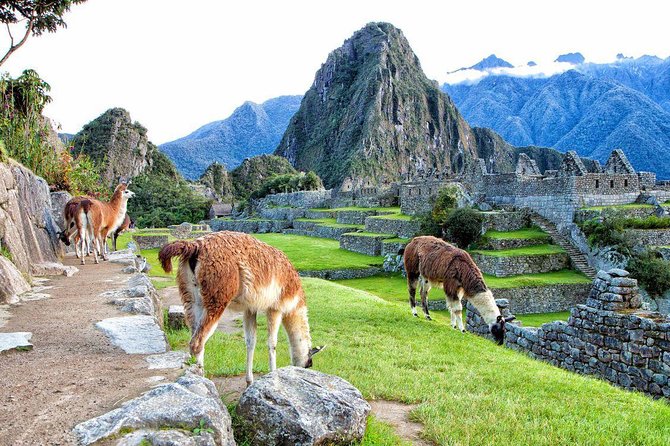 Machu Picchu By Train 2 Days Tour - Customer Feedback and Experiences