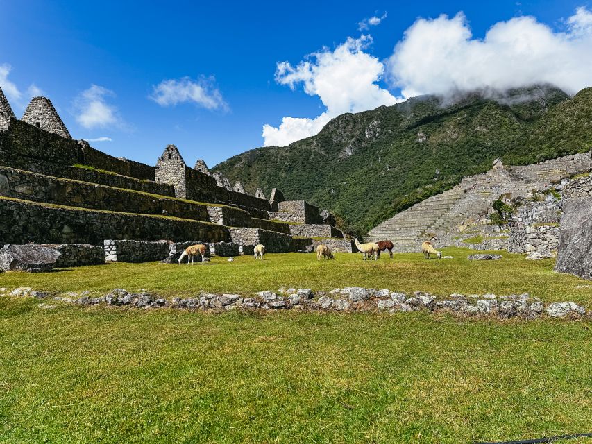 Machu Picchu: Circuit 1 Entry Ticket - Frequently Asked Questions