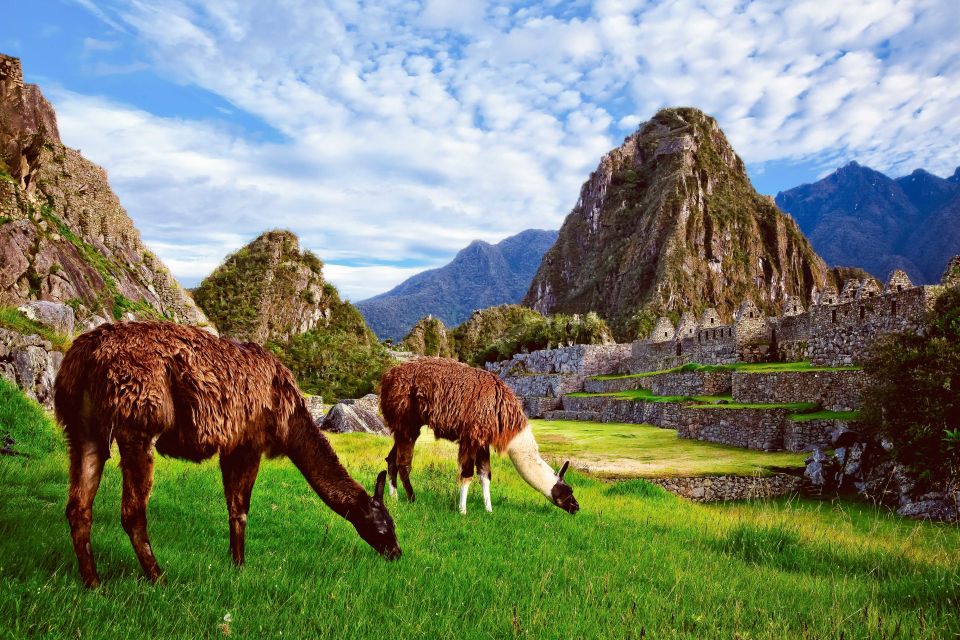 Machu Picchu: Circuit 2 Entry Ticket - Tips for Visiting