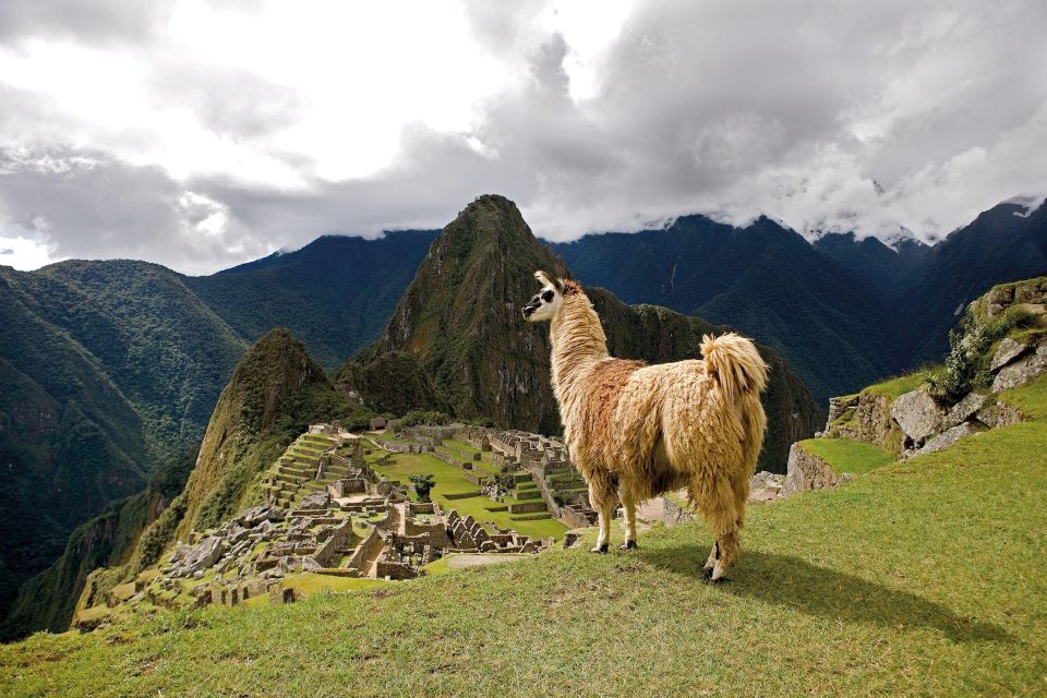 Machu Picchu Full Day Tour - Itinerary and Duration