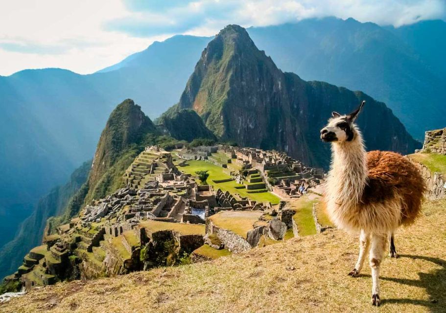 Machu Picchu + Machu Picchu Mountain Tour 1 Day - Guided Tour of Machu Picchu