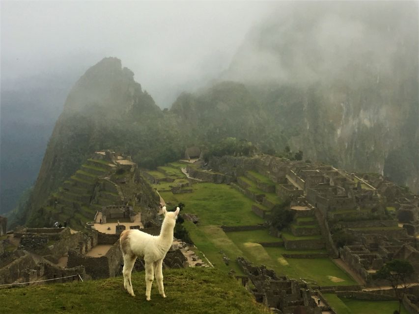 Machu Picchu: Private Tour Guide Service - Tips for a Great Experience
