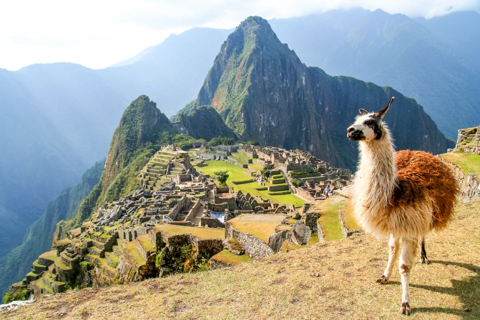 Machu Picchu: Ruins & Machu Picchu Mountain Official Tickets - Highlights of the Experience