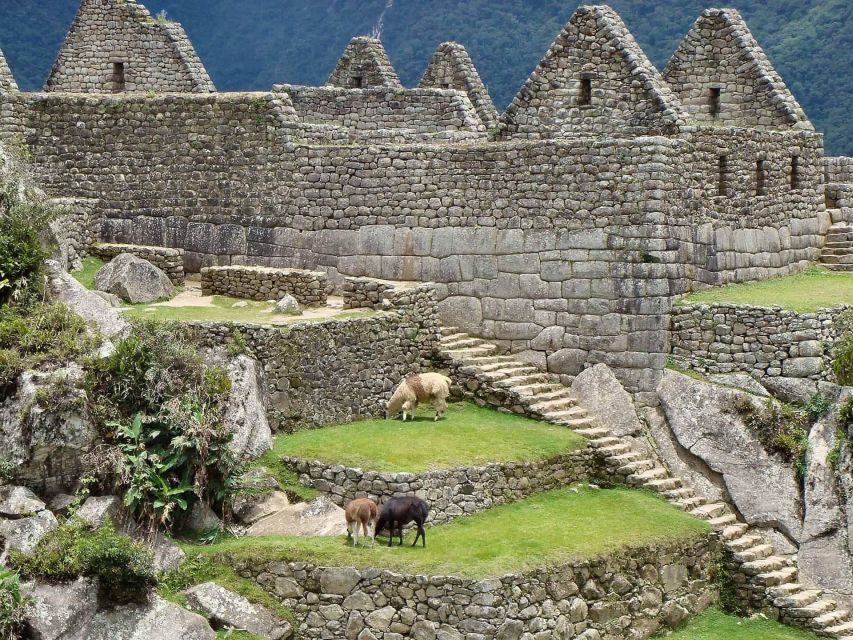 Machu Picchu Tour Full Day - Restrictions