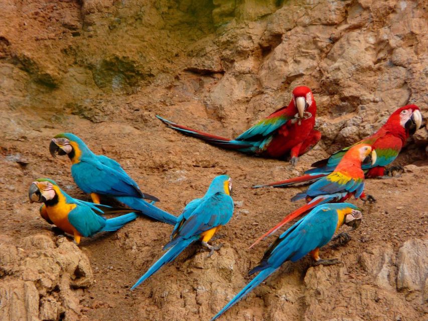 Machu Picchu Vacation Packages 10 Days - Amazon Rainforest Experience