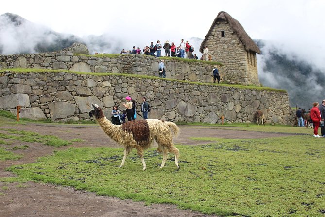 Machupicchu Day Tour Guided From Cusco - Included Services