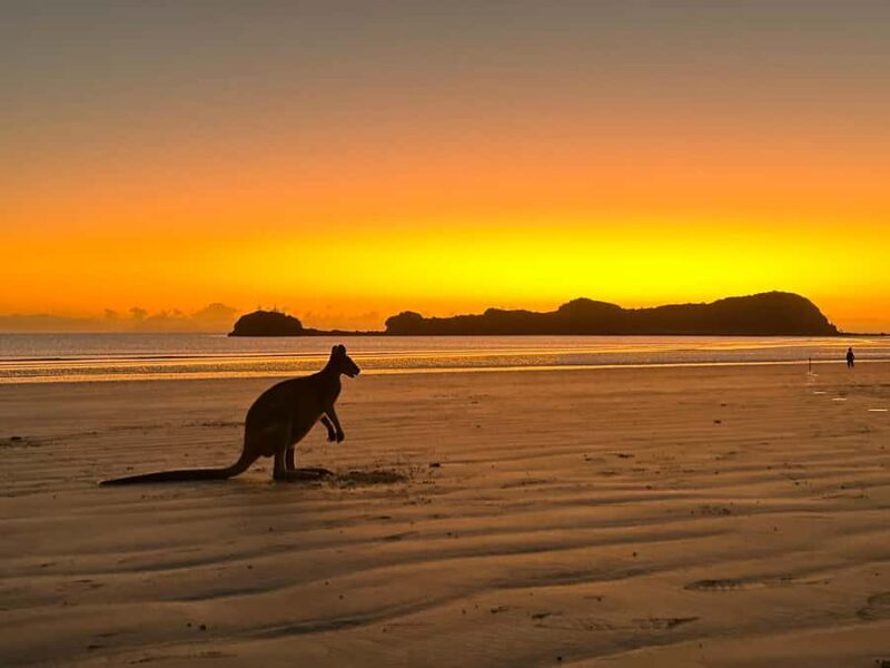 Mackay: 2-Day Adventure Package w/Accomm, Transfers & Tours - Price and Value Analysis