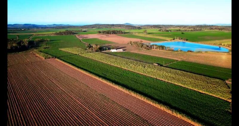 Mackay: 3 Hour Sugarcane Farm Tour - Who Should Consider This Tour?
