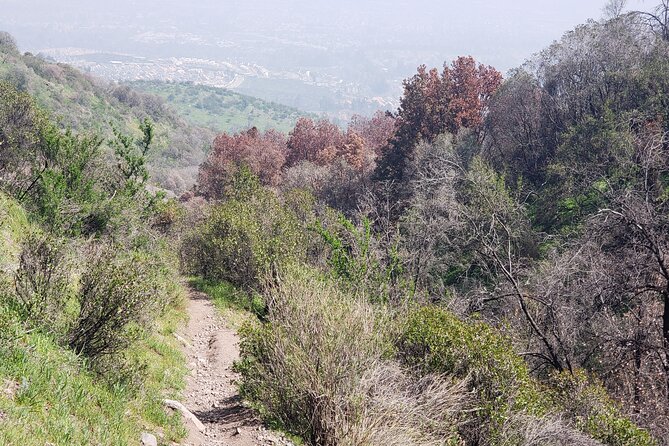 Macul Ravine 6 Hours Knowing the Natural Environment of Chile - Group Size and Booking