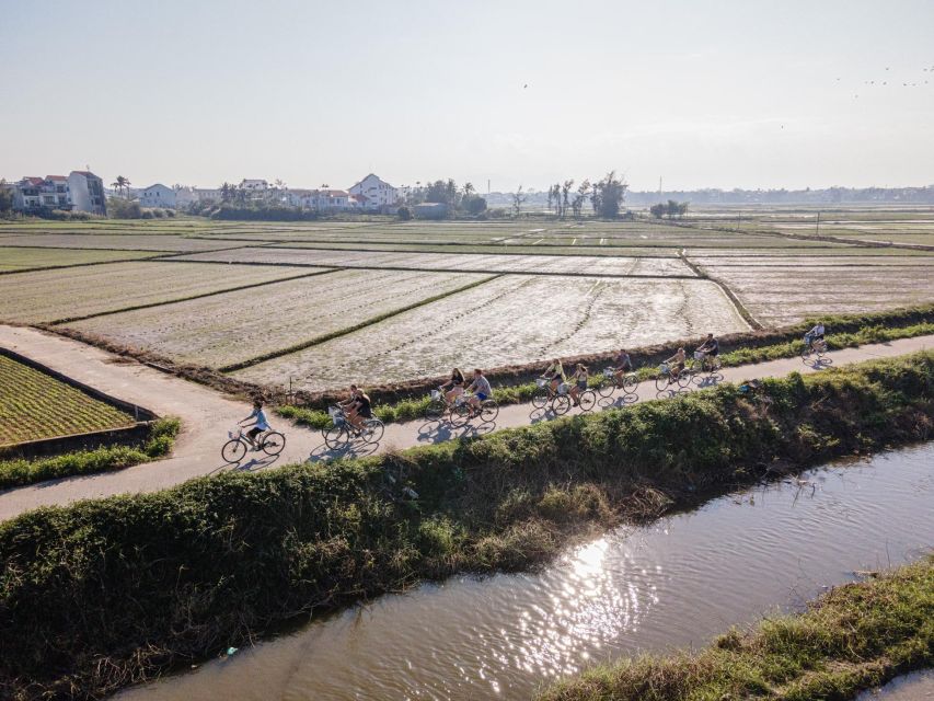 Mad Monkey Hoi An Bicycle Tour - Overview and Pricing