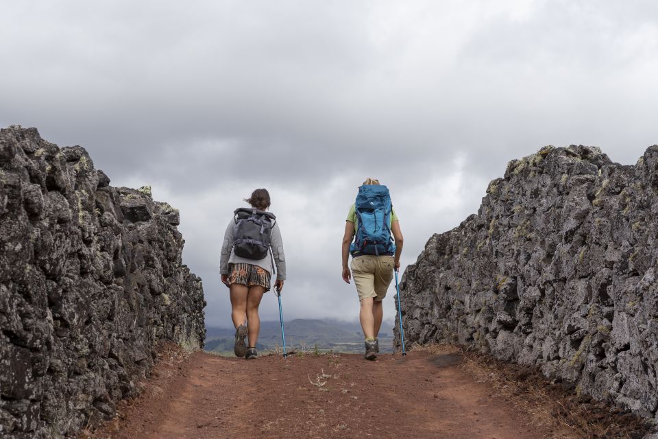 Madalena: UNESCO Heritage Vineyard Trail Hiking Tour - Tour Inclusions