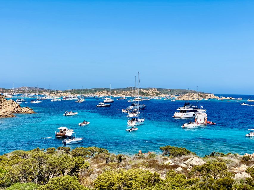Maddalena Archipelago: Island-Hopping Sailing Tour and Lunch - Culinary Offerings