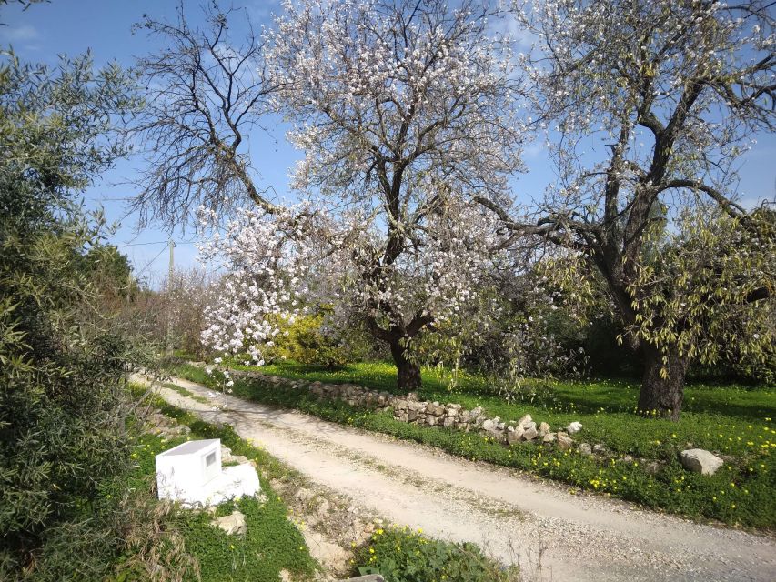 Made in the Algarve - Eco-Fábrica De Cortiça