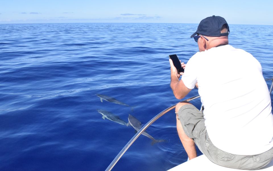 Madeira: 2.5-Hour Whale and Dolphin-Watching Cruise - Booking and Cancellation Policy