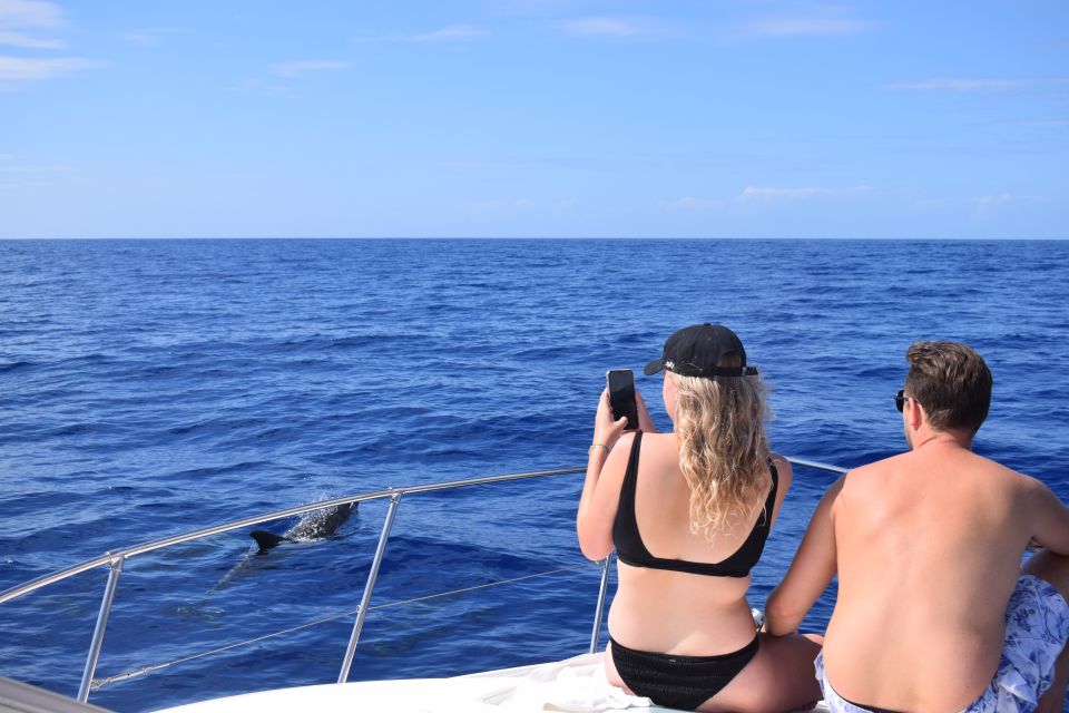 Madeira: 2.5-Hour Whale and Dolphin-Watching Cruise - Important Safety Considerations