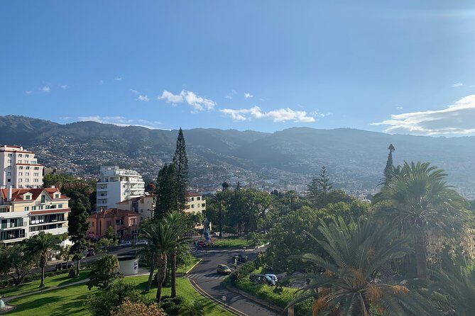Madeira Airport Private Transfers Service To Funchal - Why Choose This Transfer?