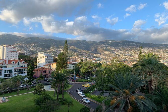 Madeira Airport Round Trip Private Transfers Services - Madeira Airport Round Trip Private Transfers Services — A Practical Review for Savvy Travelers