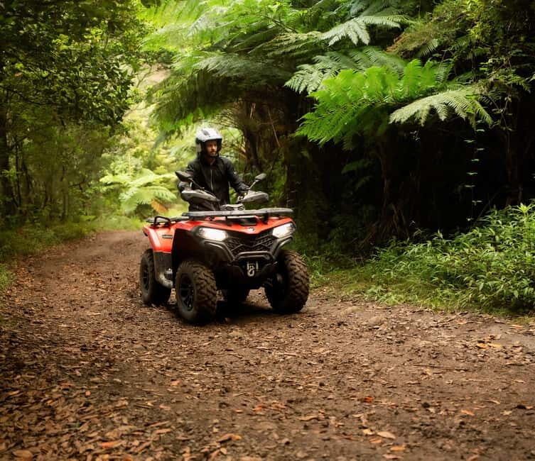 Madeira: Aventura Off-Road de ATV ou Quad - Adrenalina - Key Points