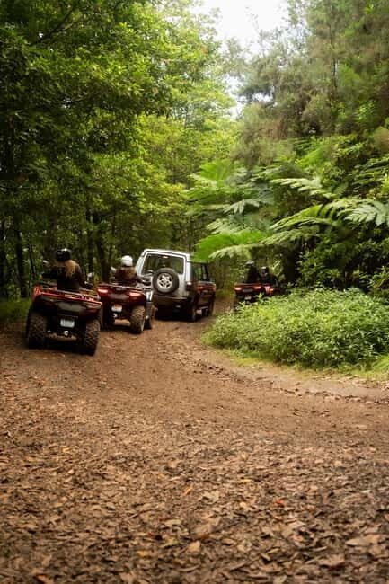 Madeira: Aventura Off-Road de ATV ou Quad - Adrenalina - Pricing and Value
