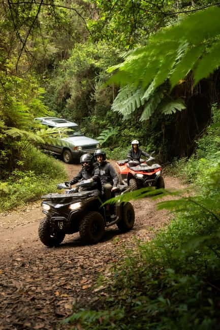 Madeira: Aventura Off-Road de ATV ou Quad - Adrenalina - Authentic Experiences and Real Reviews