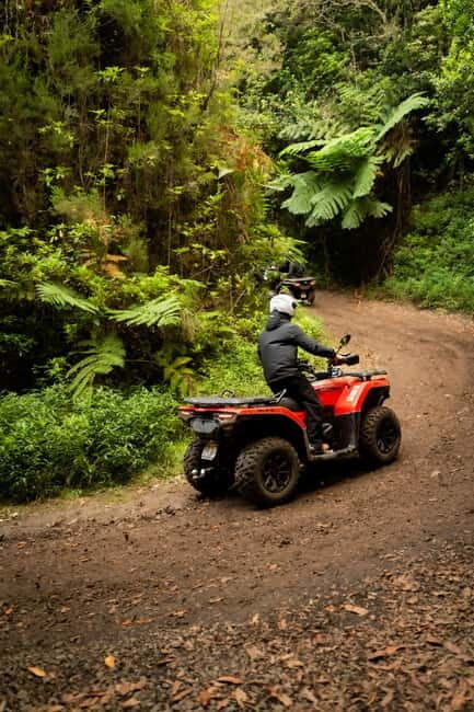 Madeira: Aventura Off-Road de ATV ou Quad - Adrenalina - Who might want to skip it?