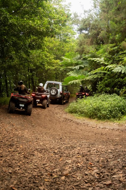 Madeira: Aventura Off-Road de ATV ou Quad - Adrenalina - Final Thoughts  
